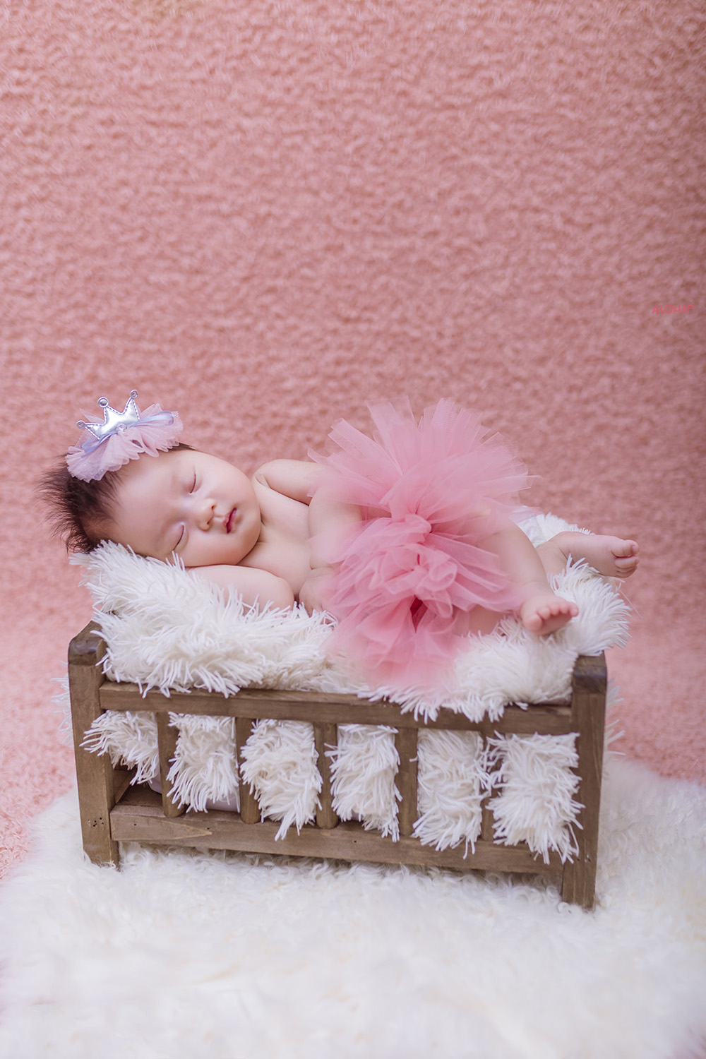 album ảnh newborn 18